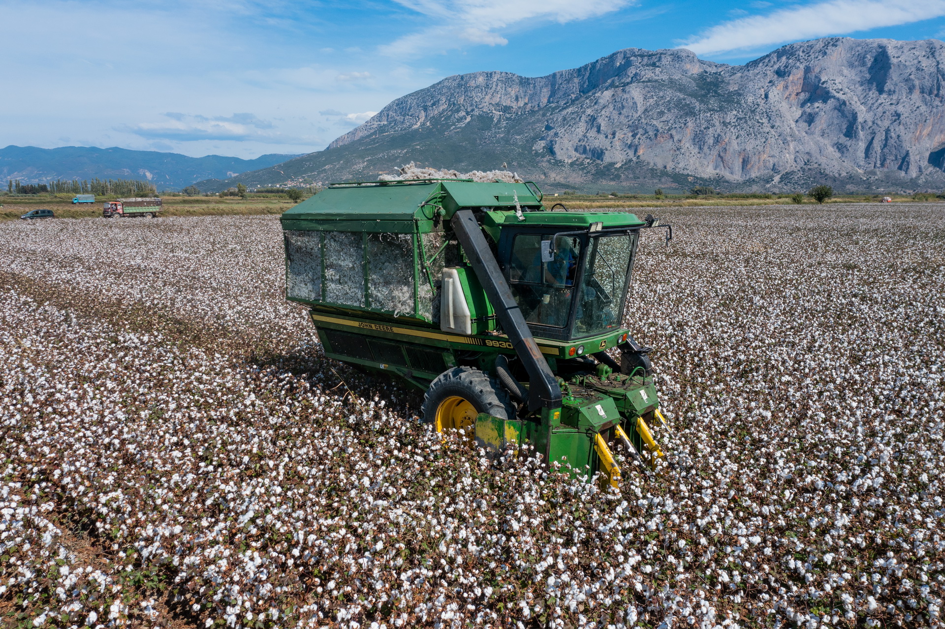 Cotton road introduction picture