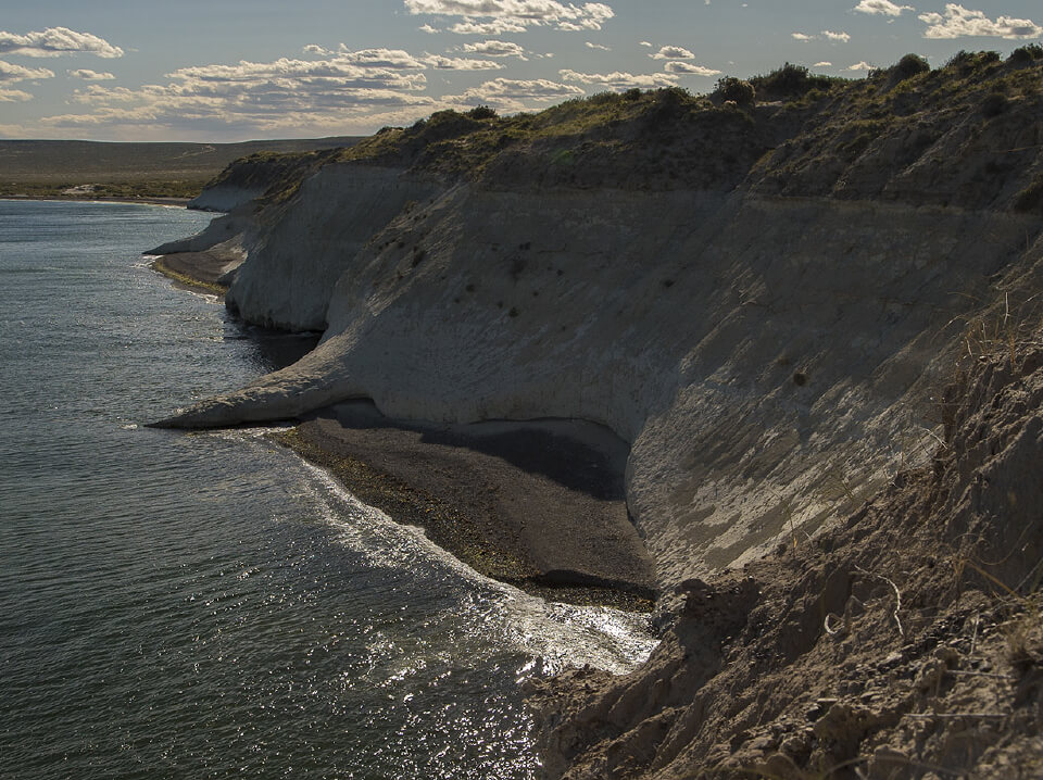 Whales, penguins & sheep. Profile on estancia La Ernestina. picture 4