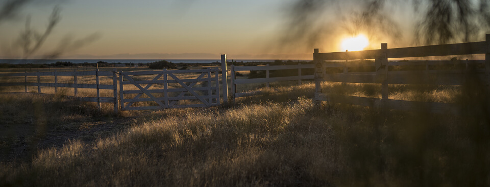 Whales, penguins & sheep. Profile on estancia La Ernestina. picture 1