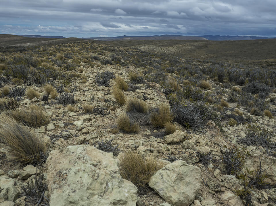 From East to West. Road trip in Patagonia. picture 3