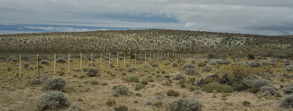 From East to West. Road trip in Patagonia. picture 4