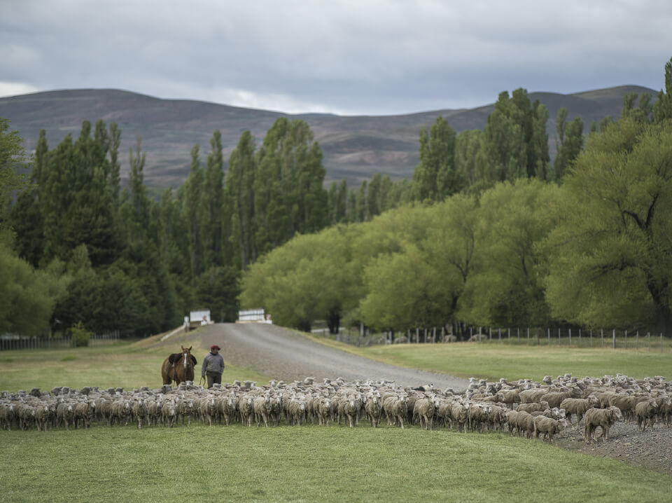 From East to West. Road trip in Patagonia. picture 5